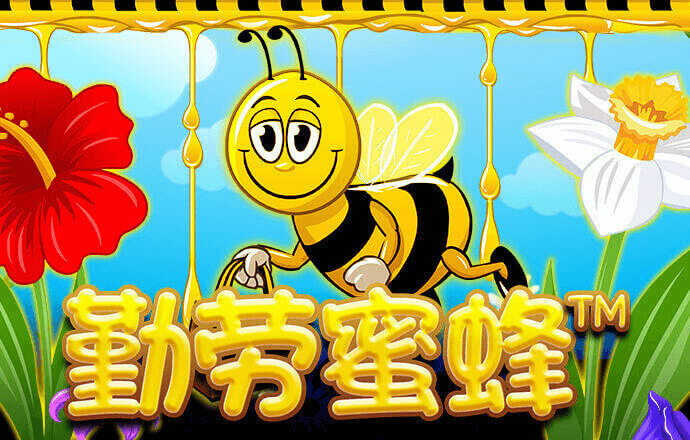 旺角天下彩(9944CC)